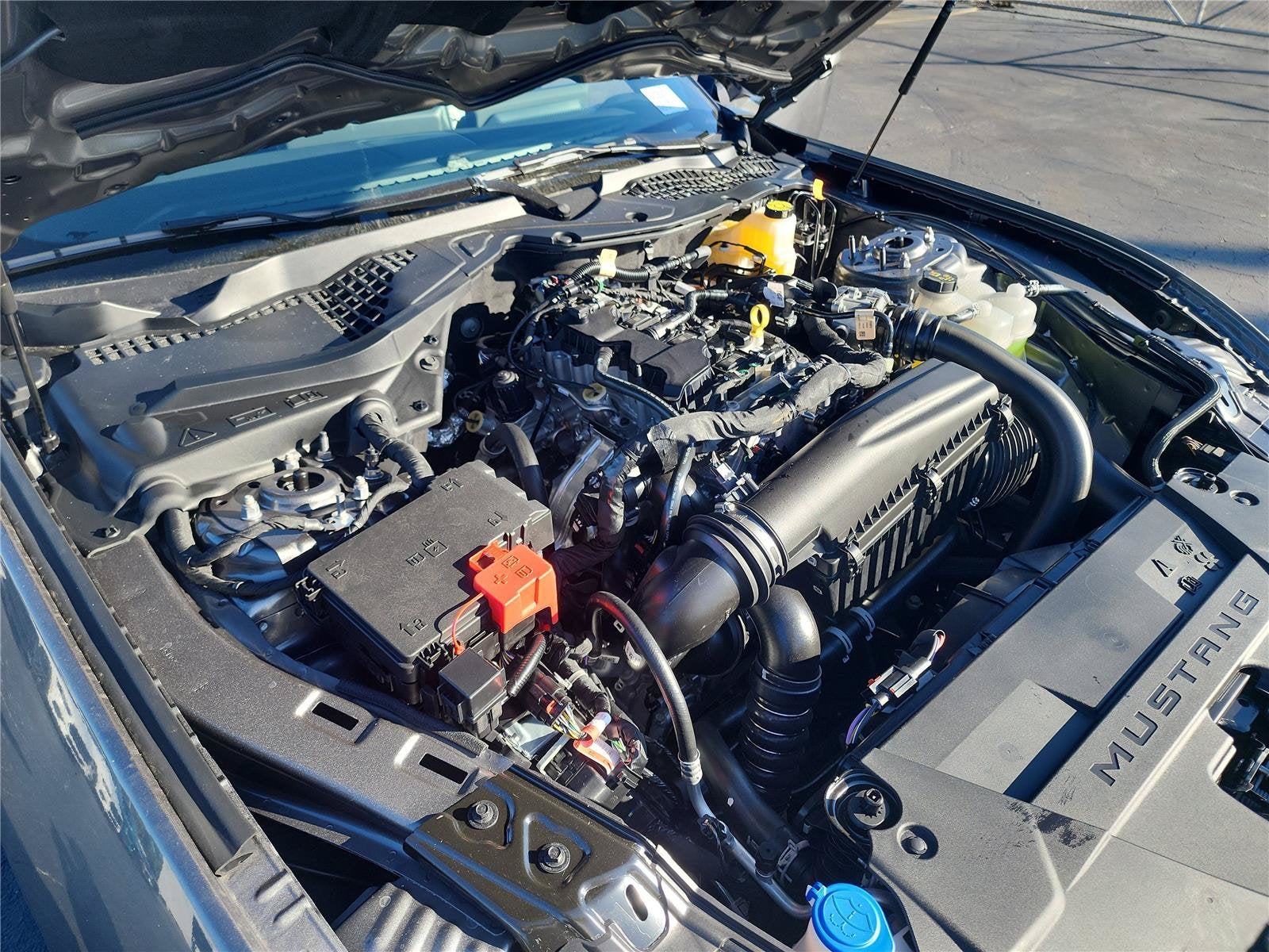2026 Ford Mustang I4CP