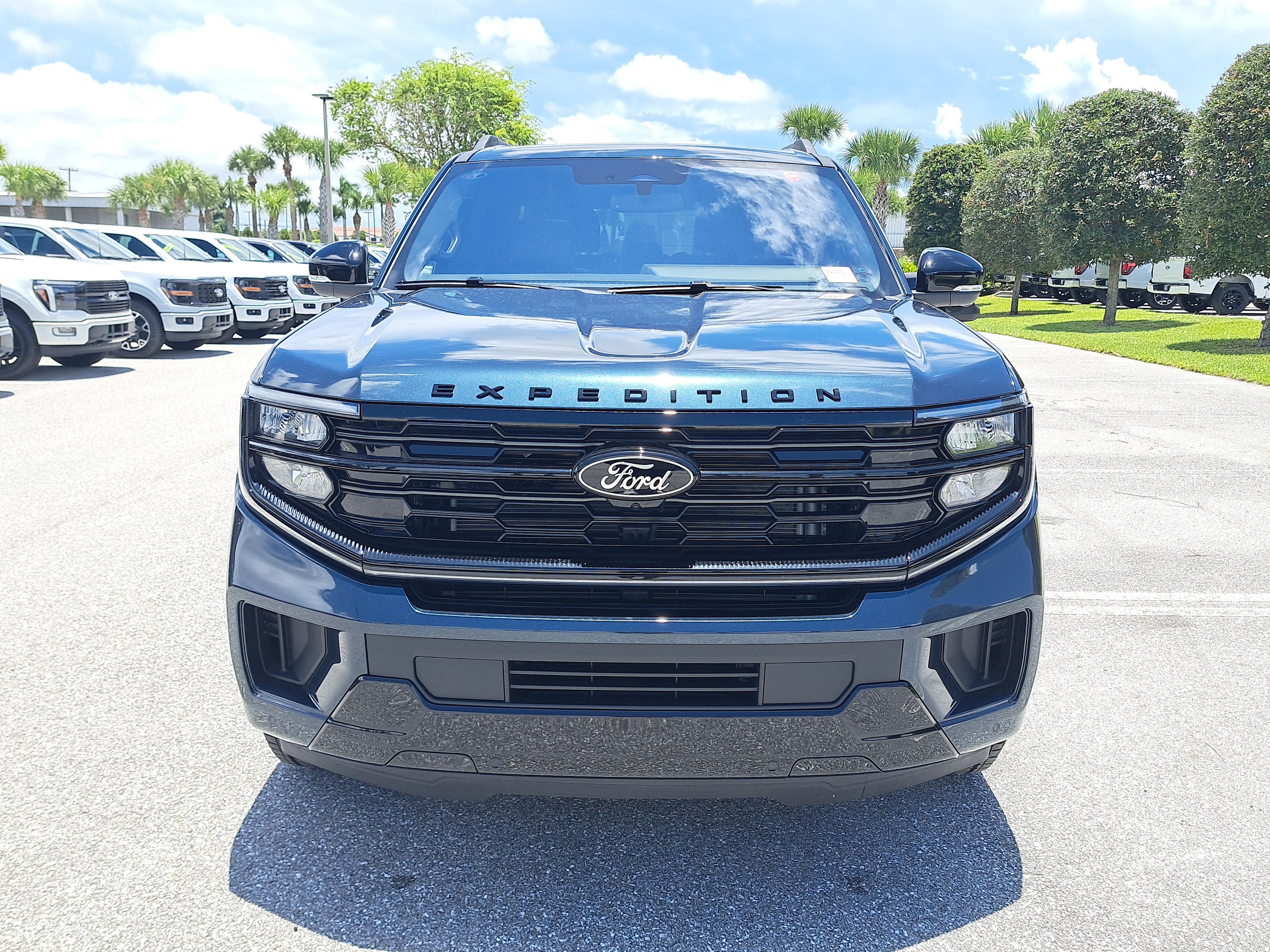 2025 Ford Expedition Max Platinum