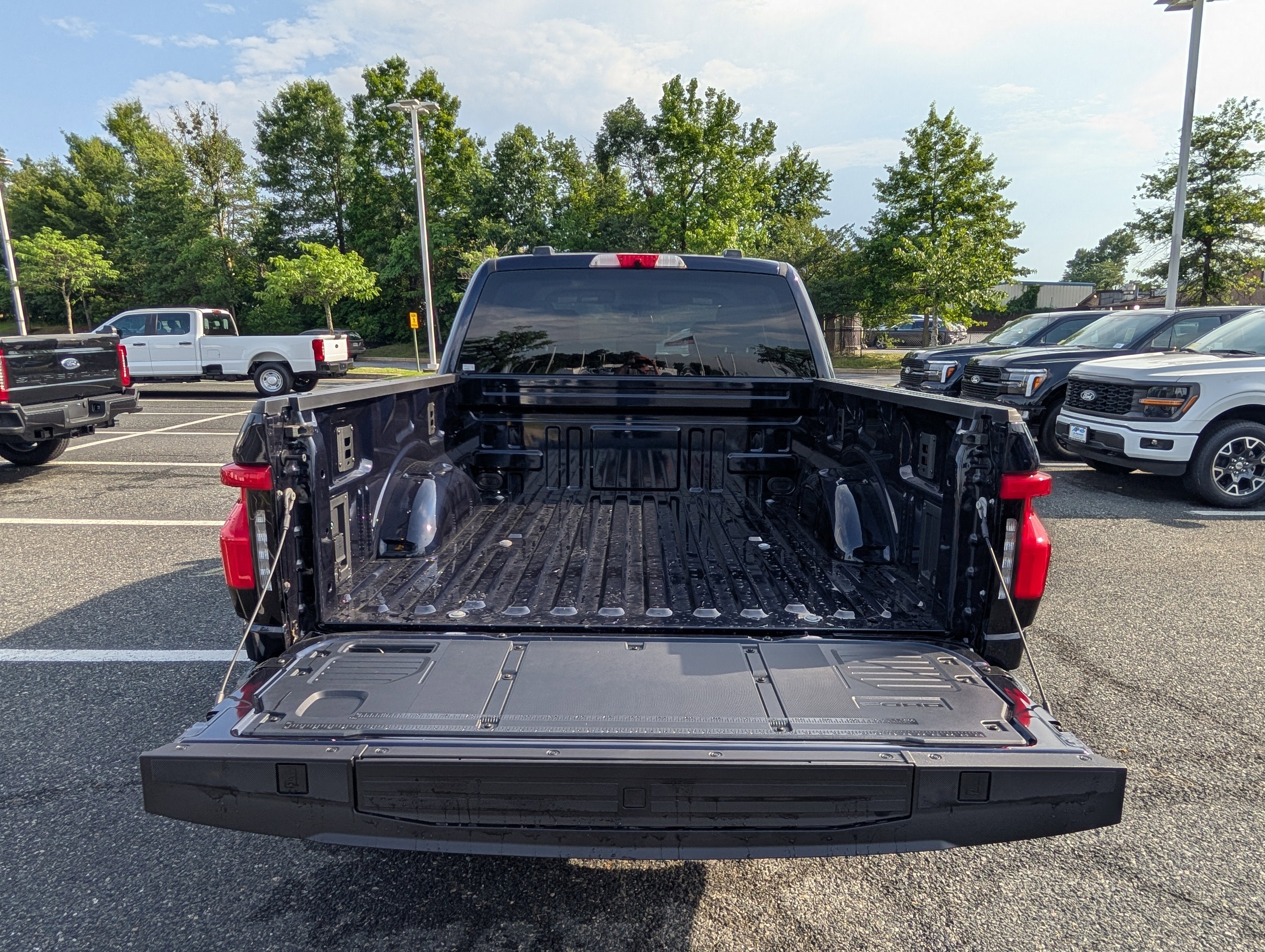 2025 Ford F-150 Lightning Flash