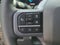 2026 Ford Super Duty F-250 SRW Black Widow