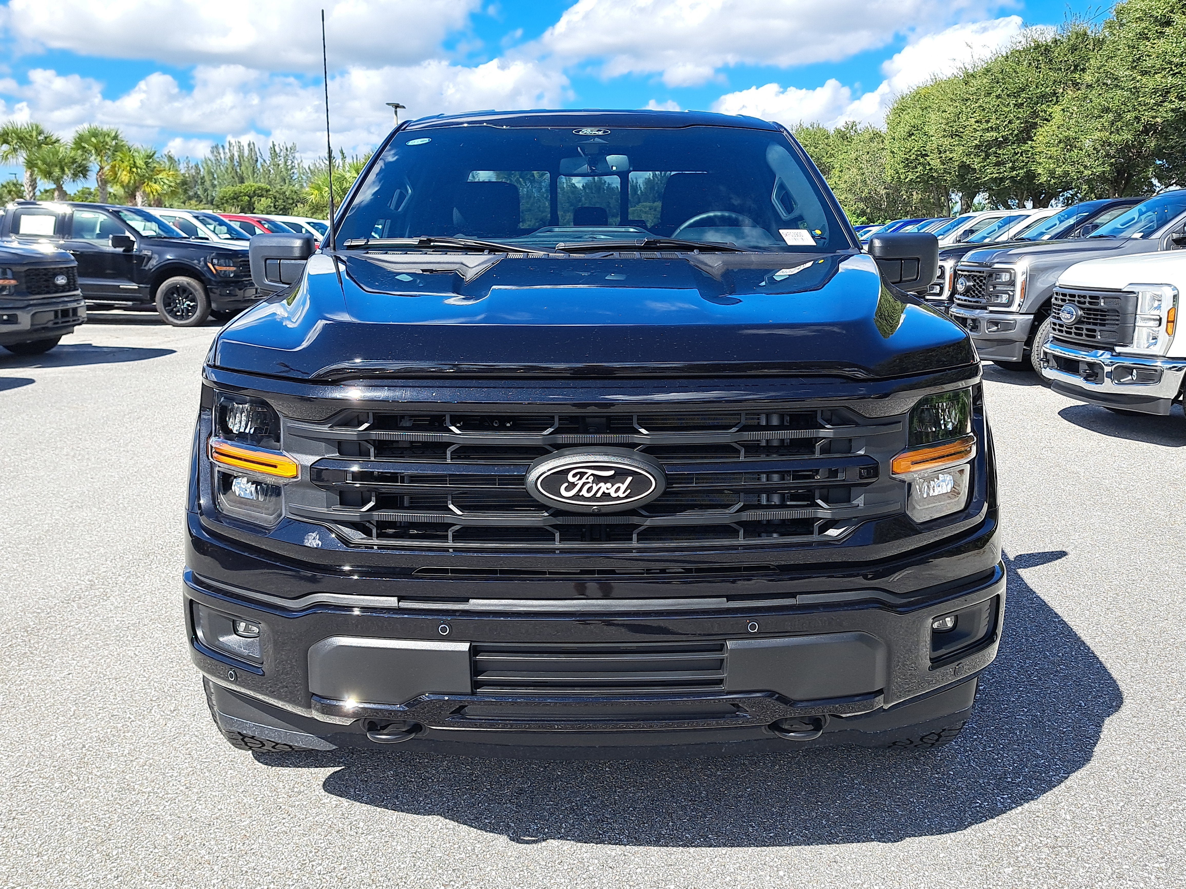 2025 Ford F-150 XLT