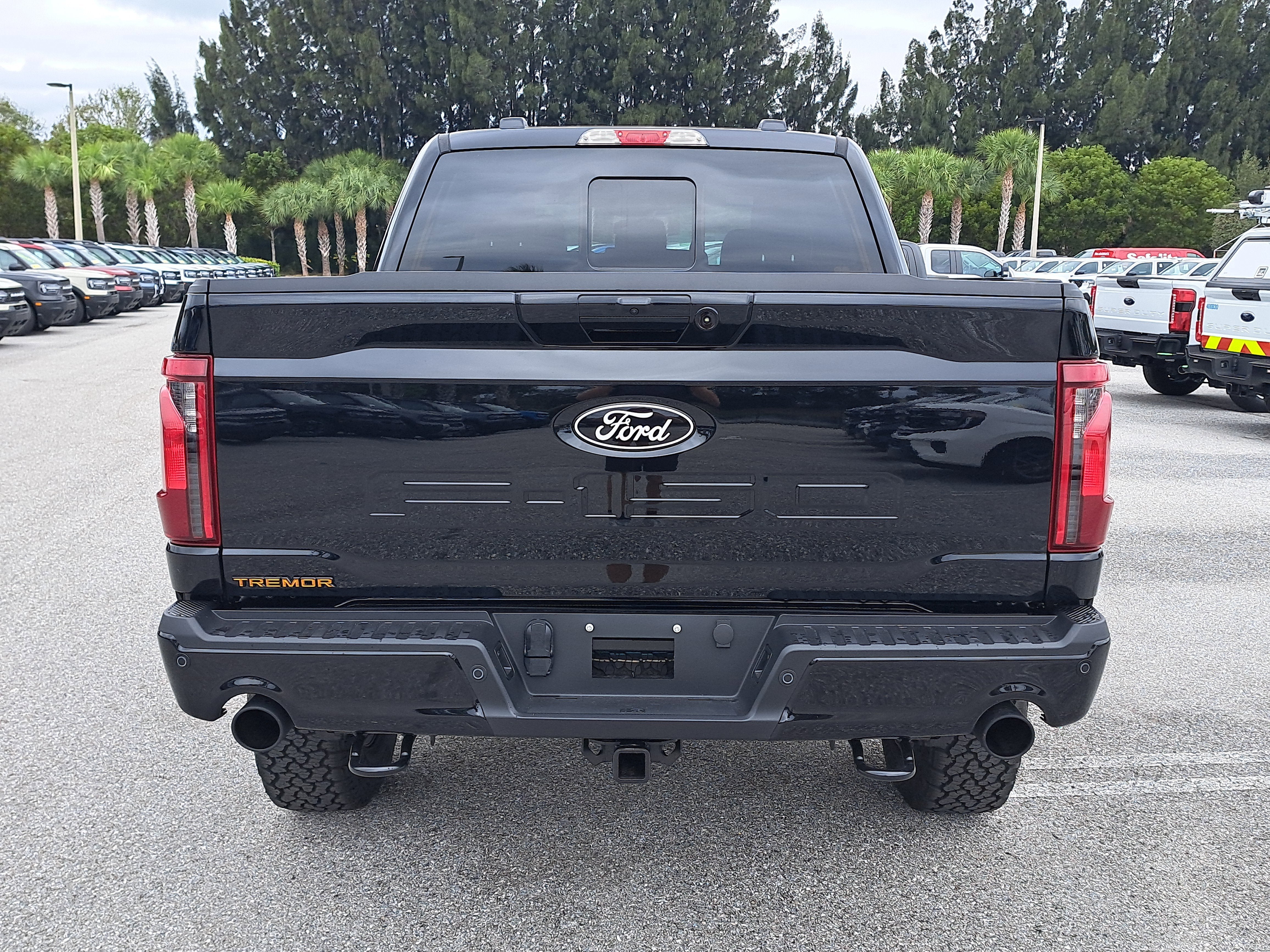 2025 Ford F-150 Tremor
