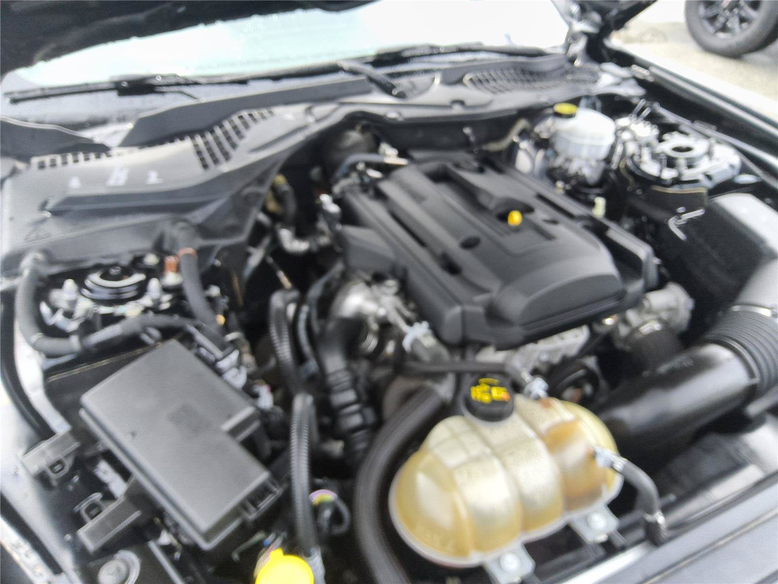 2019 Ford Mustang EcoBoost