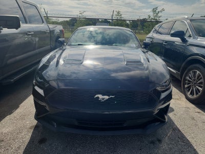 2019 Ford Mustang EcoBoost