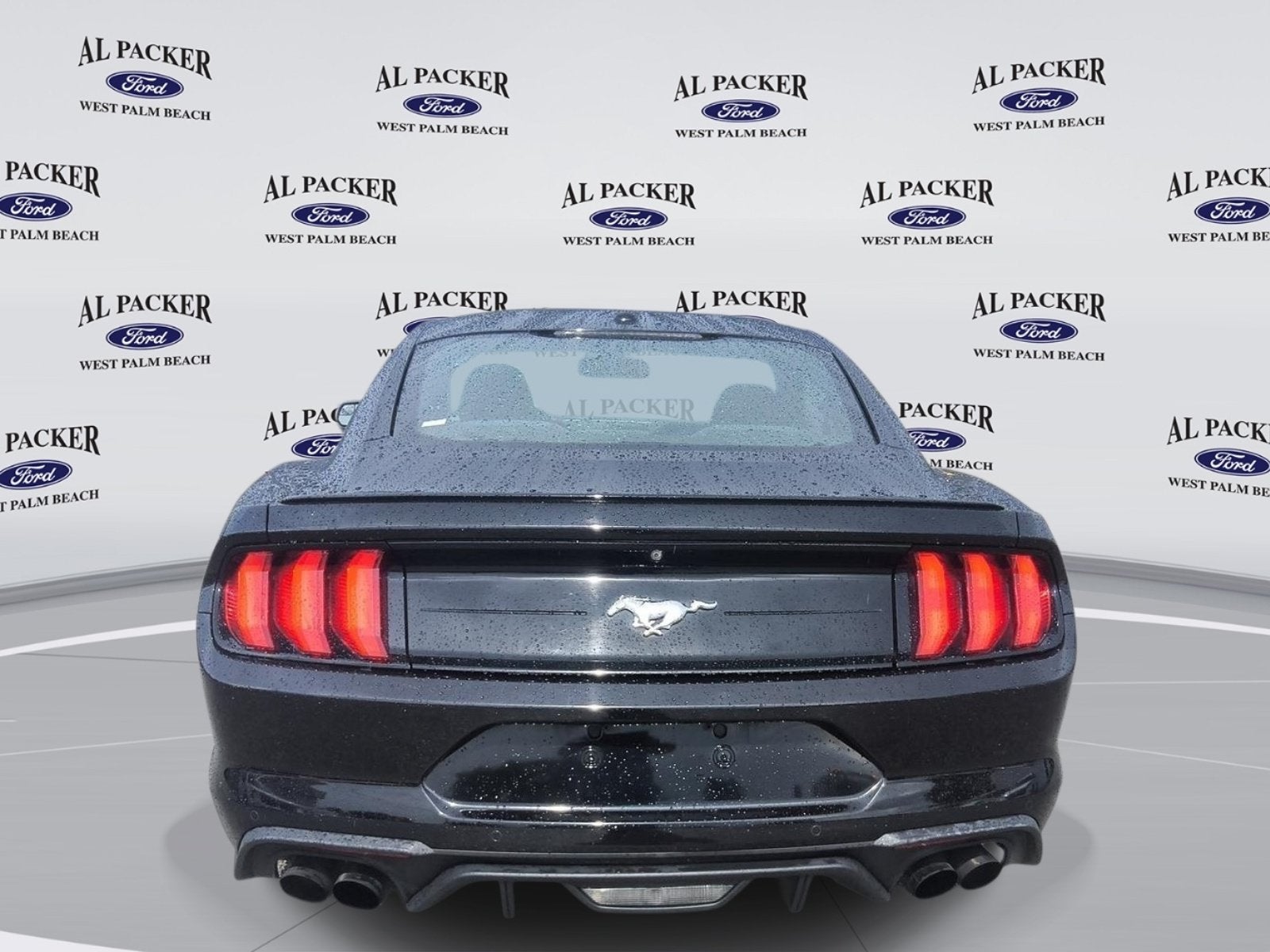 2019 Ford Mustang EcoBoost