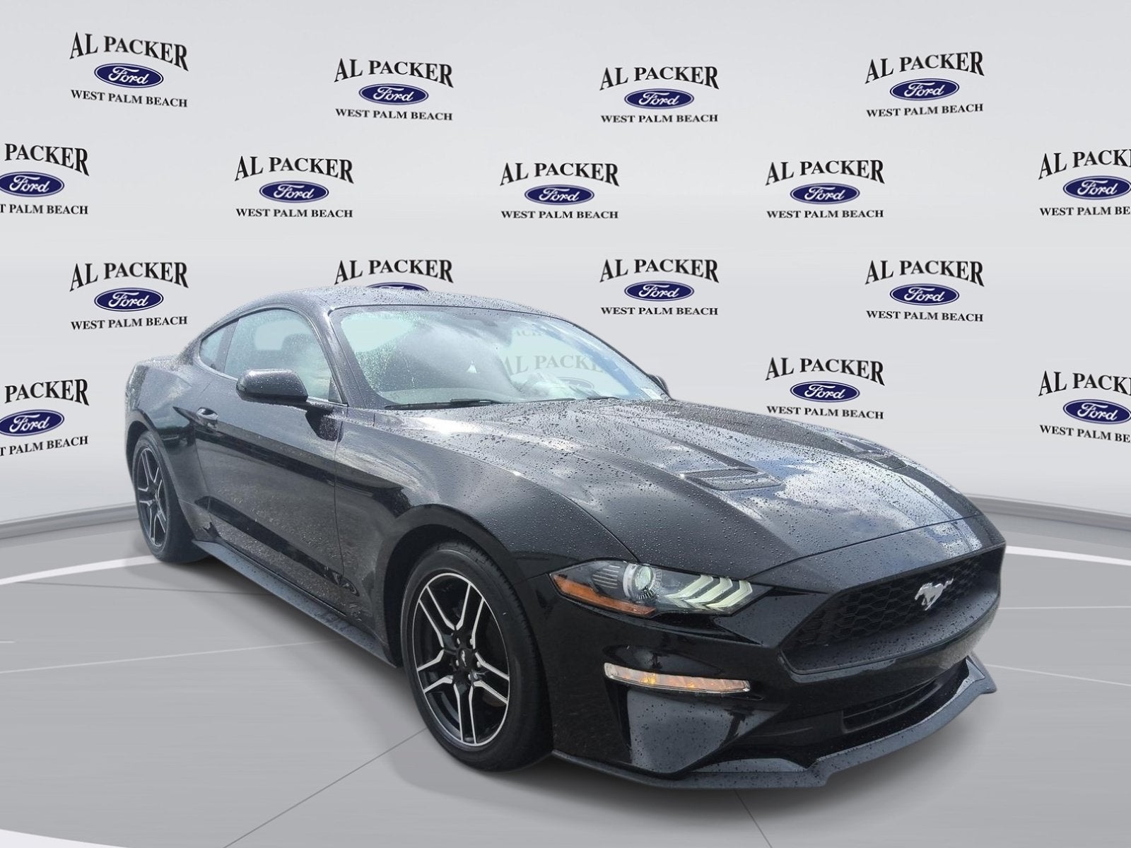 2019 Ford Mustang EcoBoost