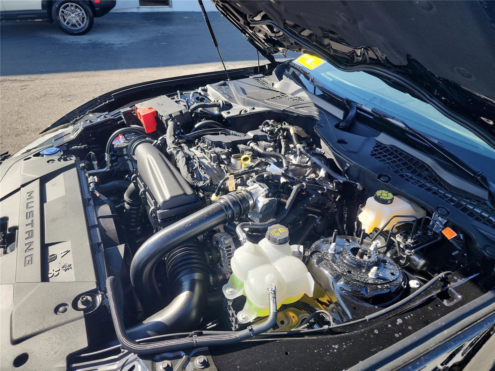 2026 Ford Mustang EcoBoost