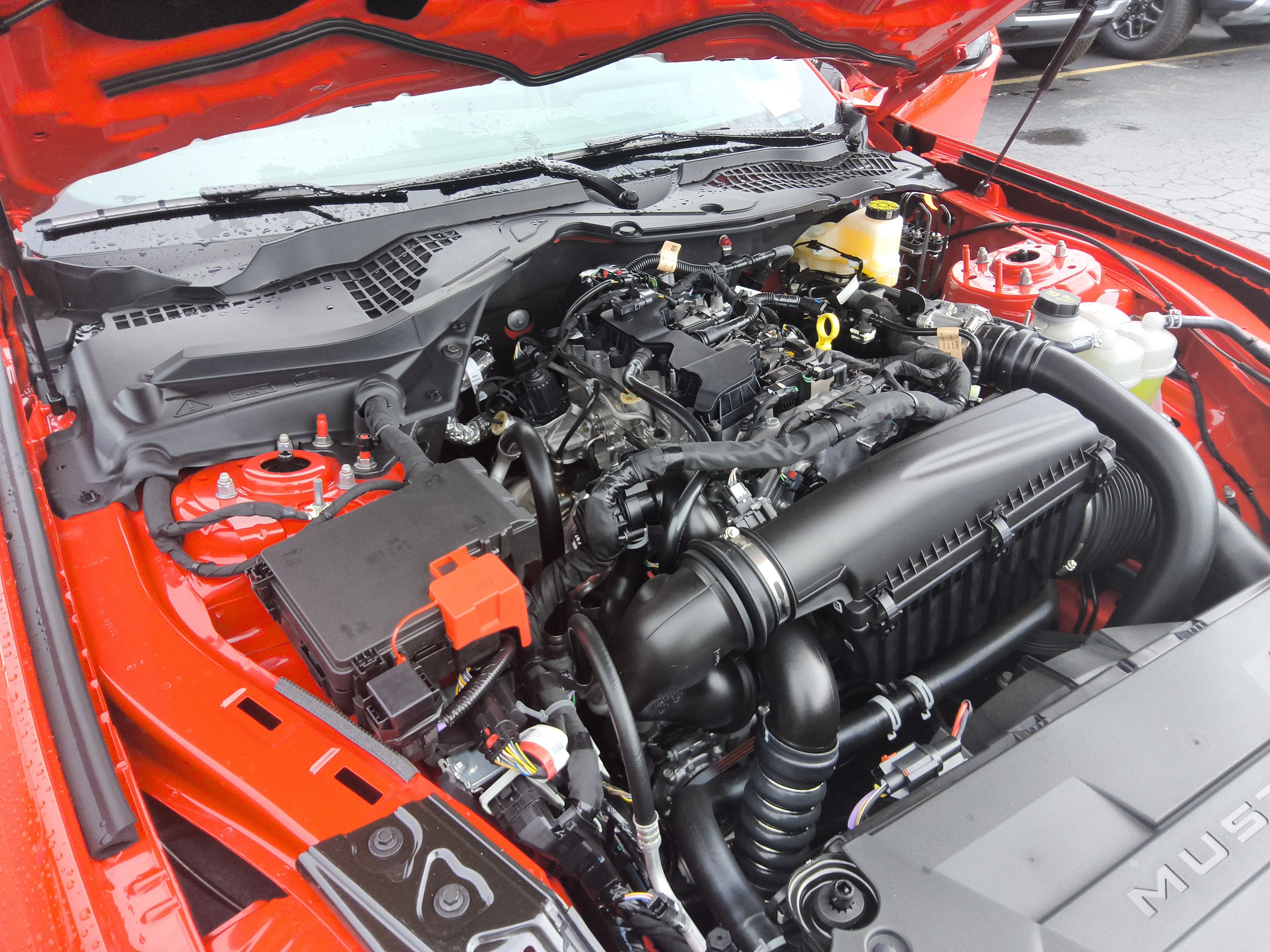 2026 Ford Mustang EcoBoost