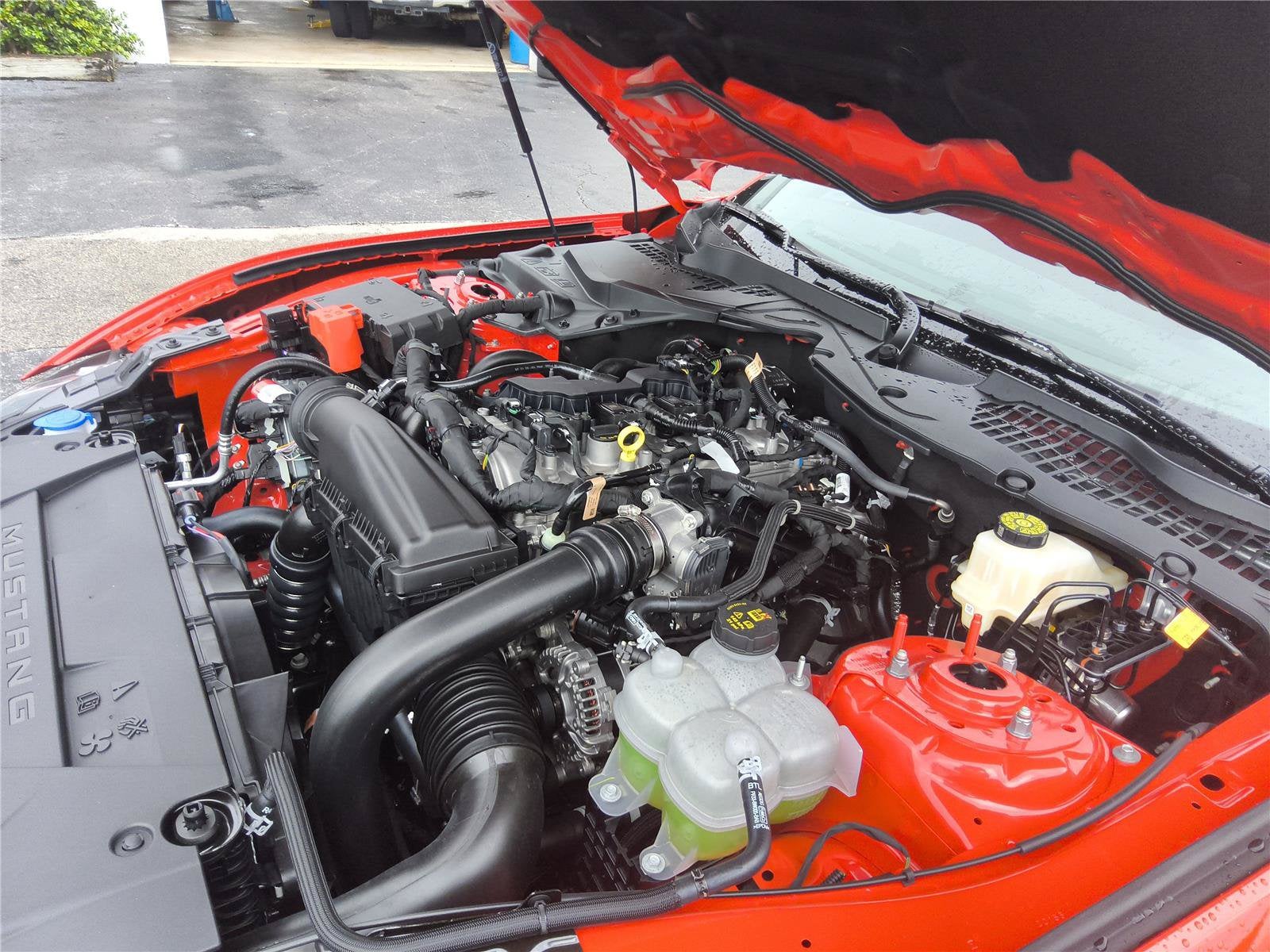 2026 Ford Mustang EcoBoost