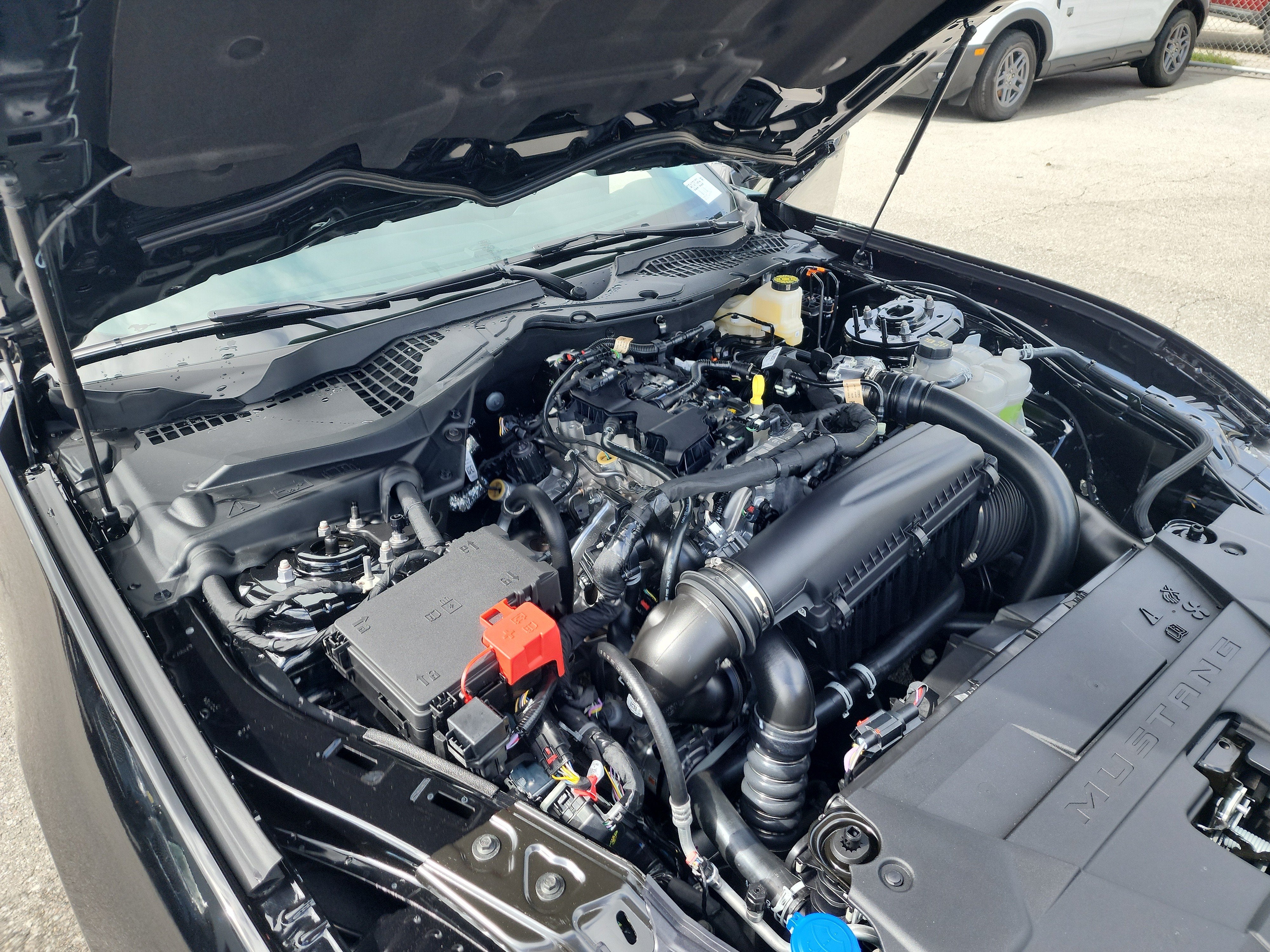 2026 Ford Mustang EcoBoost