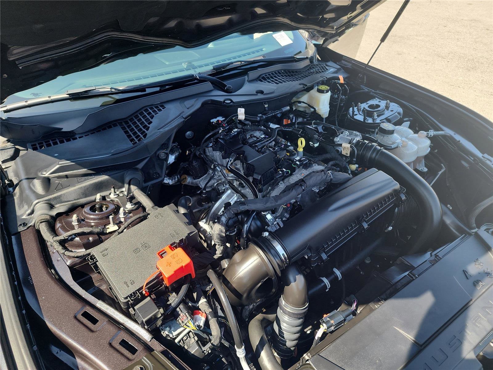 2024 Ford Mustang EcoBoost Premium