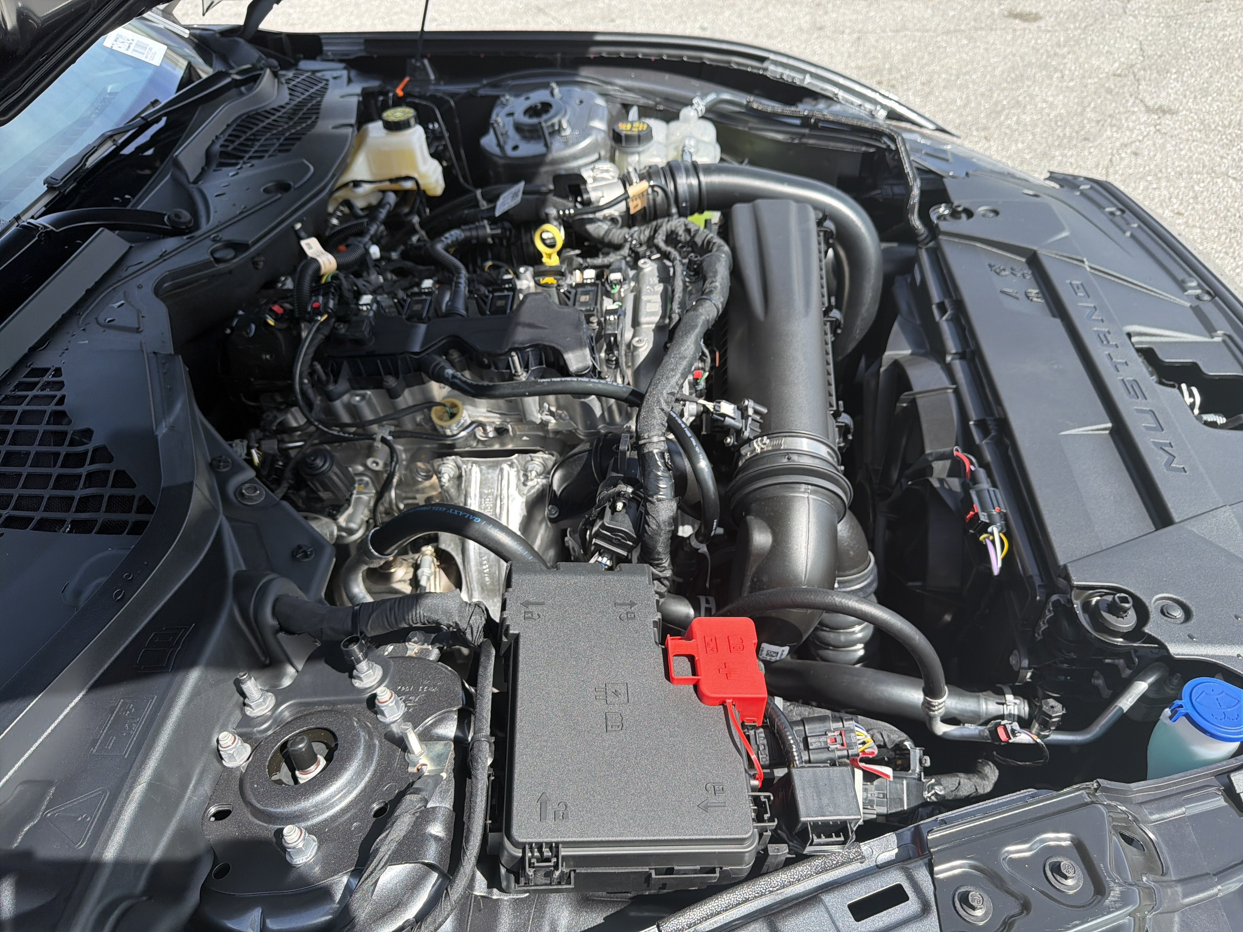 2026 Ford Mustang EcoBoost