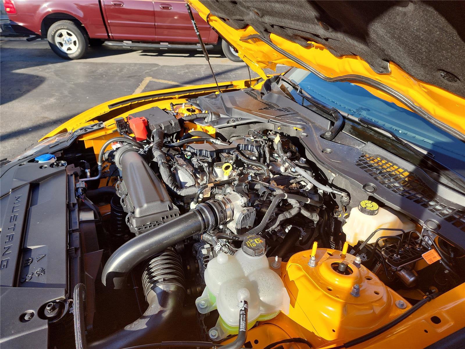 2026 Ford Mustang EcoBoost