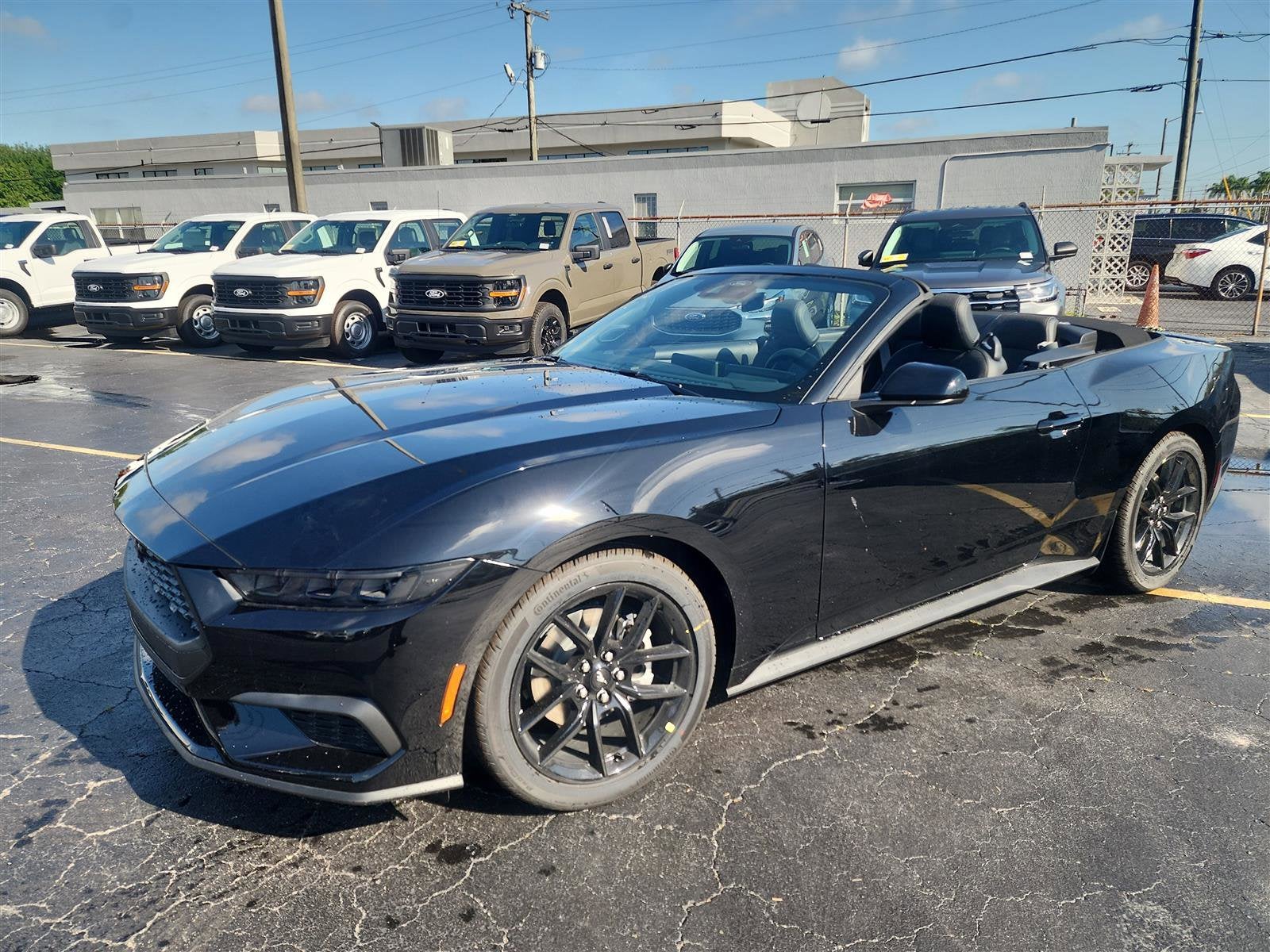 2025 Ford Mustang EcoBoost