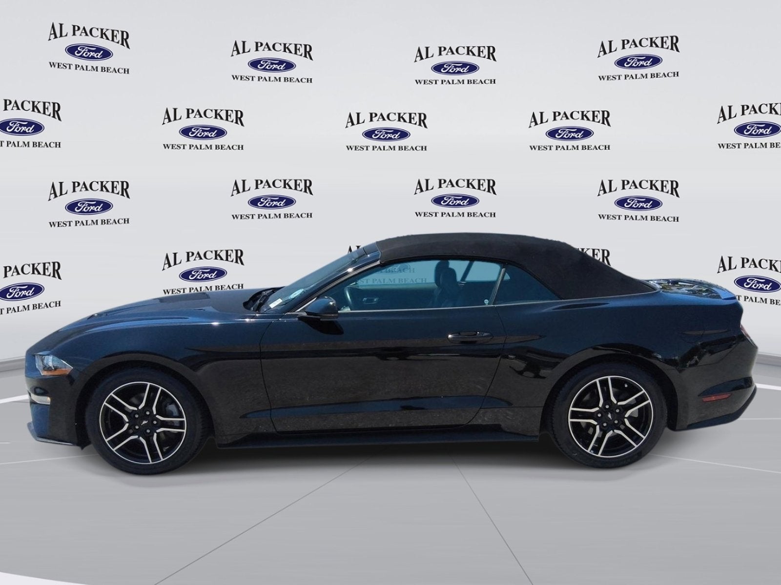 Used 2019 Ford Mustang EcoBoost Premium with VIN 1FATP8UH1K5109487 for sale in Royal Palm Beach, FL