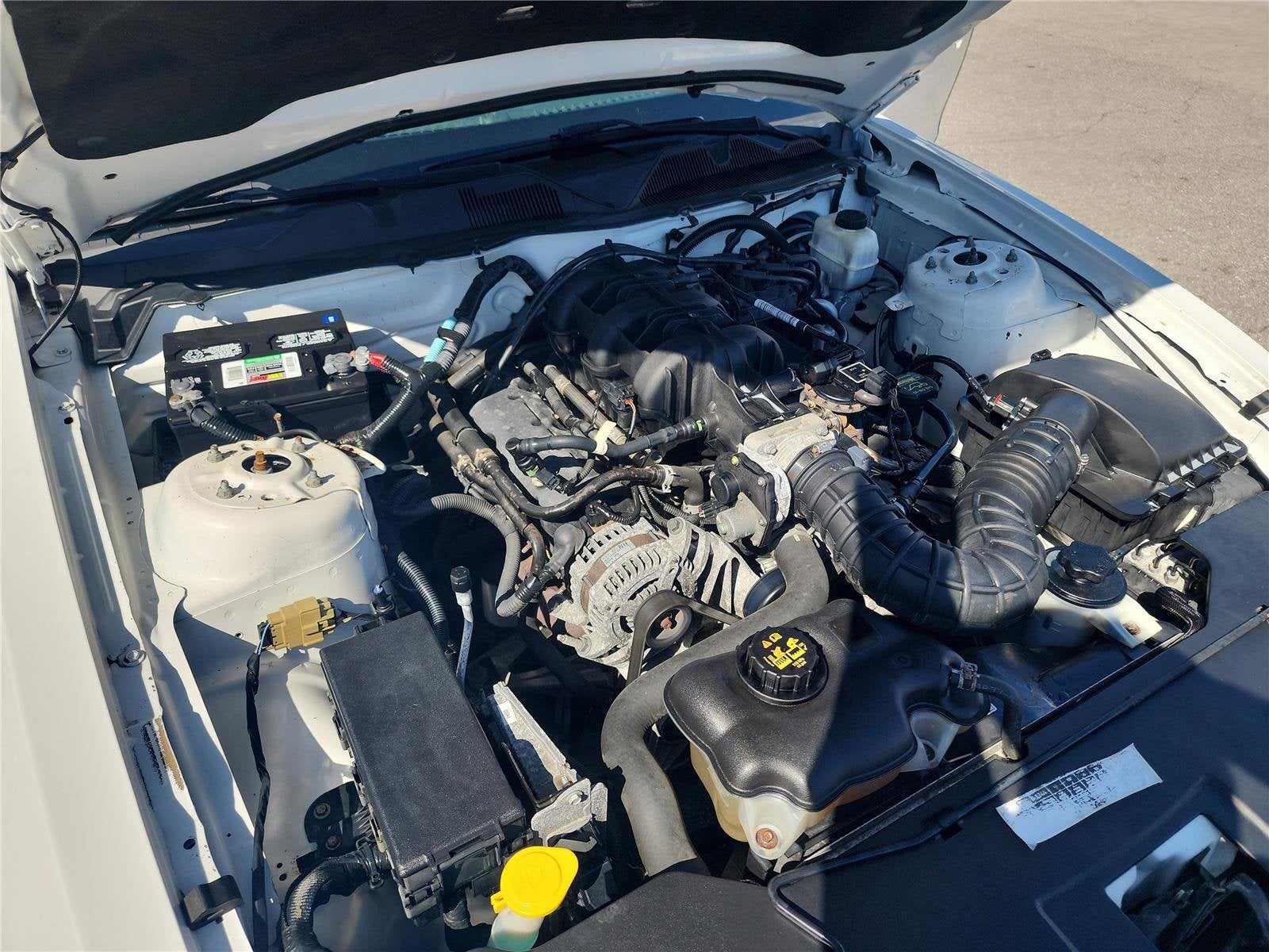 2010 Ford Mustang V6