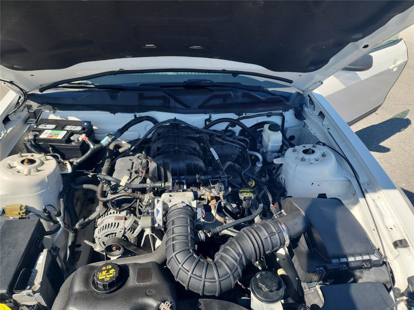 2010 Ford Mustang V6