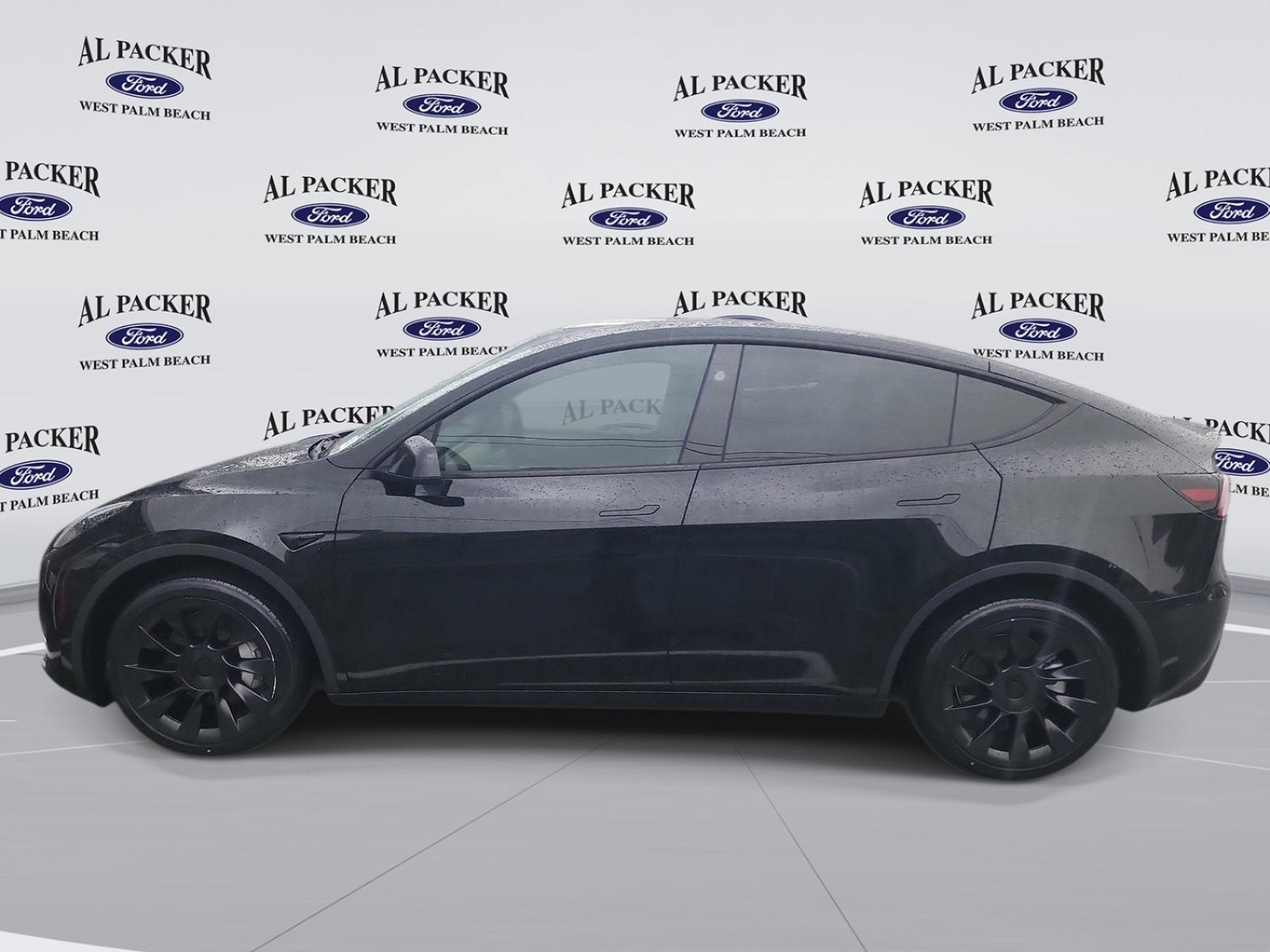 Used 2023 Tesla Model Y Long Range with VIN 7SAYGDEE8PA208259 for sale in Royal Palm Beach, FL