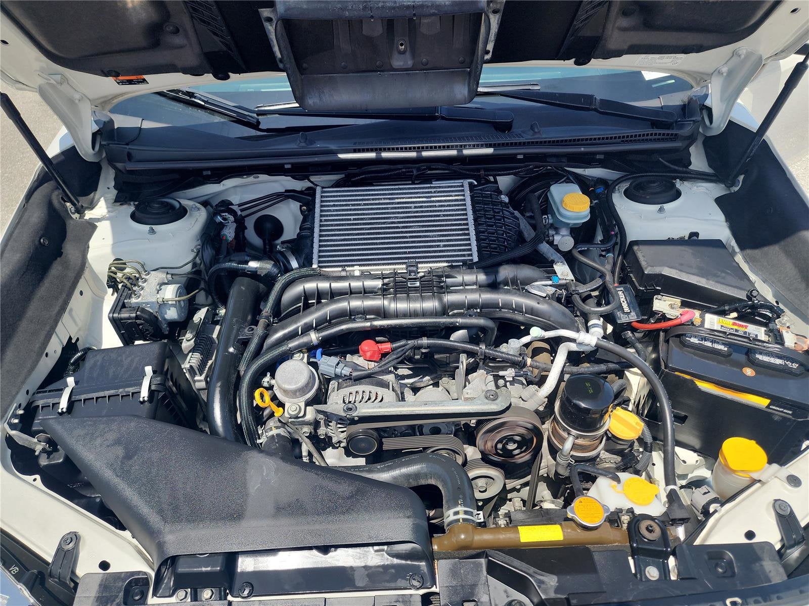 2019 Subaru WRX Base